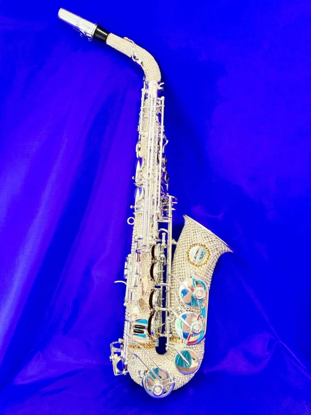管楽器・吹奏楽器 CE Winds alto Legacy resin Original Diamond Series - CE Winds